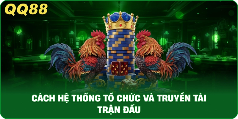 Lợi Thế Khi Tham Gia Đá Gà QQ88